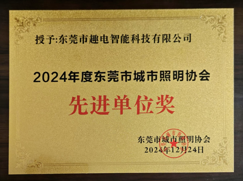 喜报 | 趣电科技荣获2024东莞市城市照明协会“先进单位”